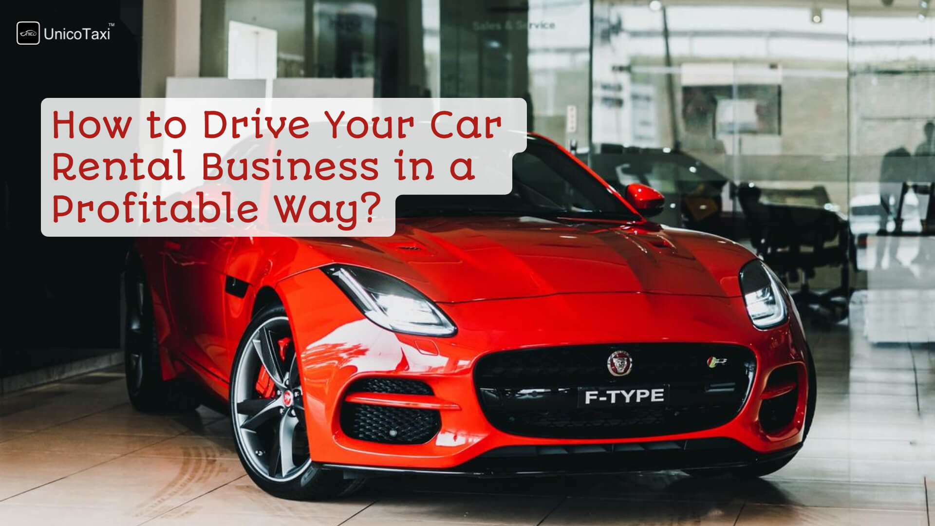how-to-drive-your-car-rental-business-profitable-way